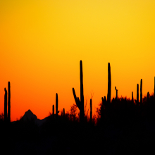 Beautiful Fernhill Cr.11.22.04