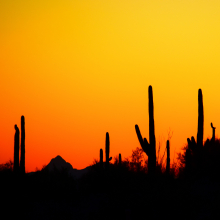 Beautiful Fernhill Cr.11.22.04