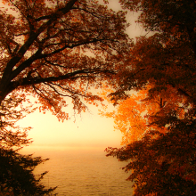 Fall color.10.08.03