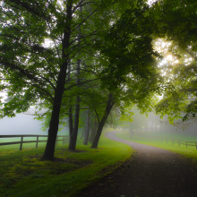 Foggy Morning 06.07.02