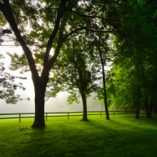 Foggy Morning 06.07.03