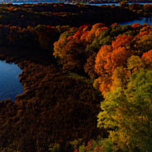 Golden hour.10.25.01