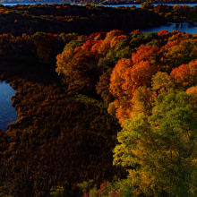 Golden hour.10.25.01