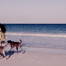 Harbour Island.12.11.02