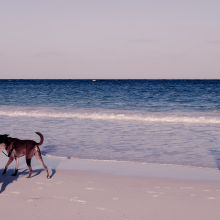 Harbour Island.12.11.02