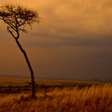 Kenya.06.07.05