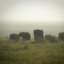 Kenya.06.07.07