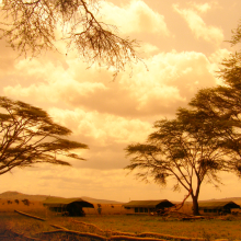 Kenya.06.07.10