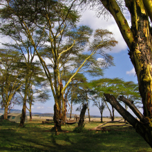 Kenya.06.07.11