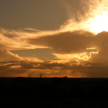 Kenya.06.07.18