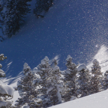 Powder Birds.12.09.13