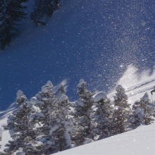 Powder Birds.12.09.13