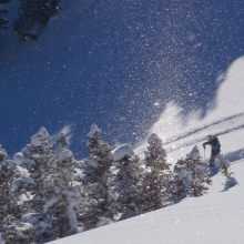 Powder Birds.12.09.13