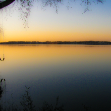 Spring Morning.4.10.01