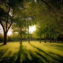 Summer Morning.06.15.01