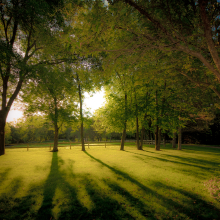 Summer Morning.06.15.01