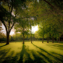 Summer Morning.06.15.01