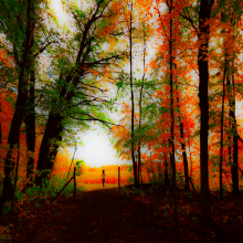 Walk in Whitney Woods.10.22.06