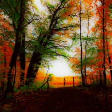 Walk in Whitney Woods.10.22.06