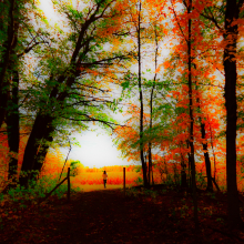 Walk in Whitney Woods.10.22.06