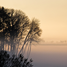 Winter Wonderland.02.10.09