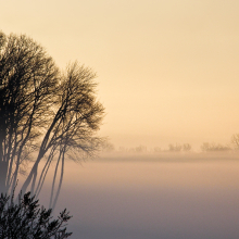 Winter Wonderland.02.10.09