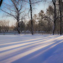 Winter light.02.19.01